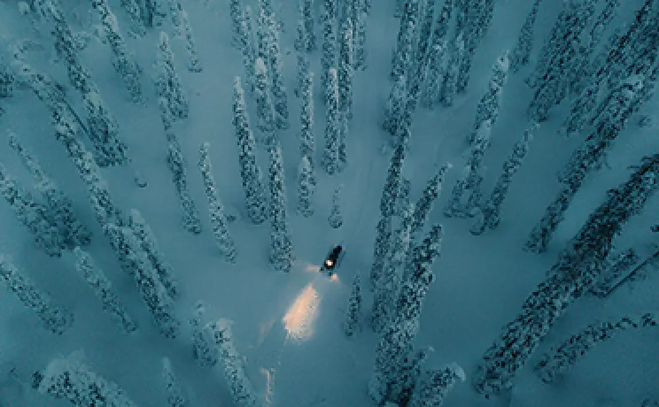 Snowy landscape