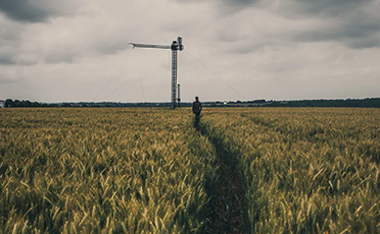 crop field