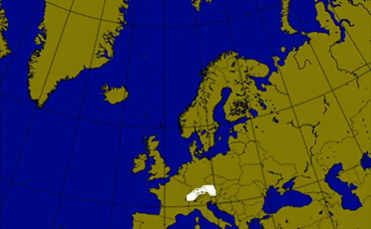 forecast map