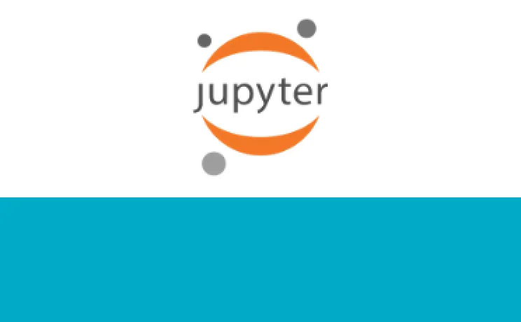 Jupyter Notebook logo