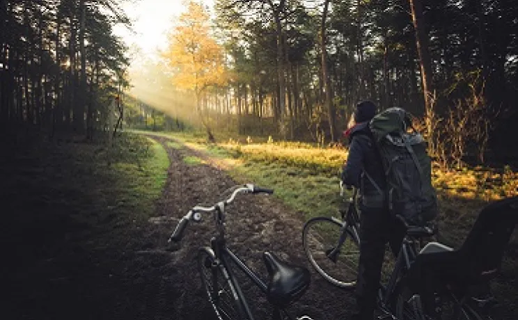 Cyclist on road