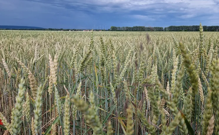 Carbon farming