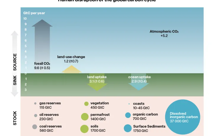 Figure 1.  Average human influence in the global carbon cyclein GtC per year, gigatonnes of carbon, for the decade 2012-2021. adapted from Global Carbon Project 2022