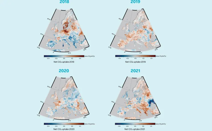 Annual mean net ecosystems