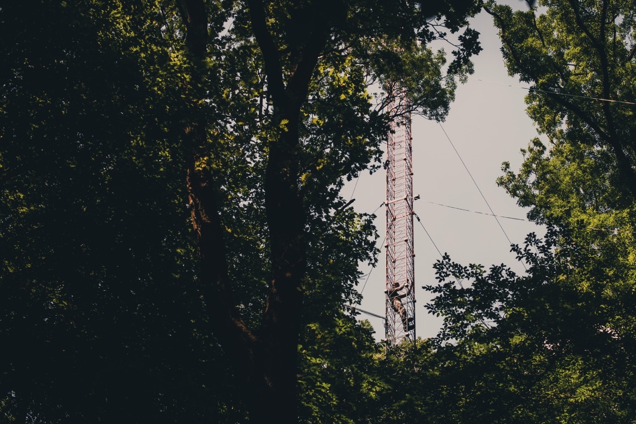 Scientist climbing a tall observation tower in a lush green forest