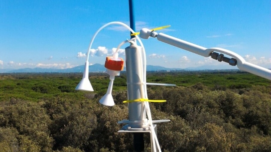 The Italian scientific community