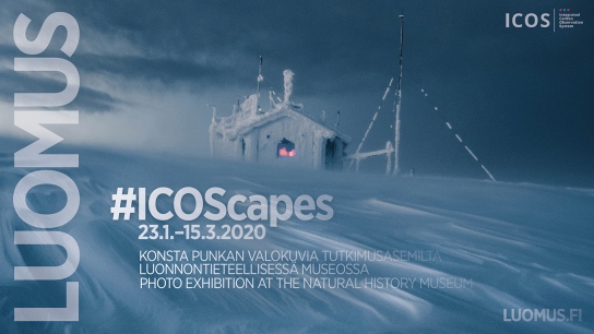 Luomus advertisement