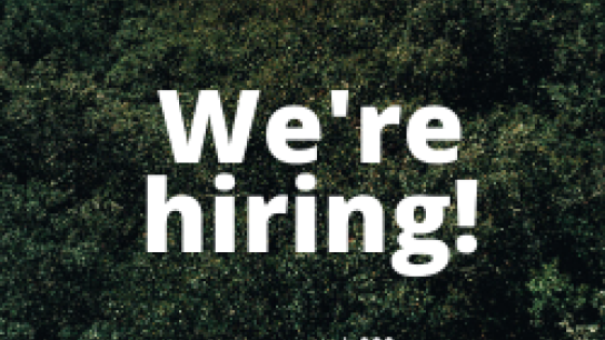 We're Hiring