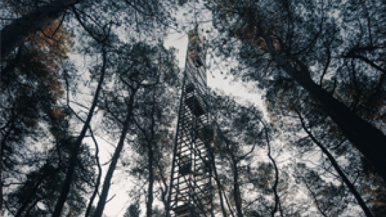 ICOS tower in an evergreen forest in Loobos, Netherlands