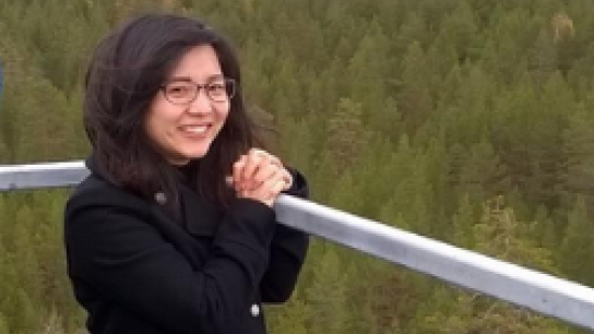 Aki Tsuruta overlooking forest from the ICOS measurement station in Pallas-Sammaltunturi.