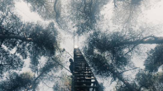 Scientist on ICOS tower in Loboos, the Netherlands  