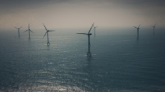 ICOS OTC Newsletter is out