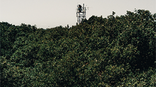 Two people standing on top of a measurement tower in the forest