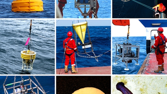 Pictures of the PAP-SO