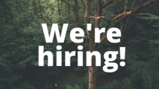We're hiring
