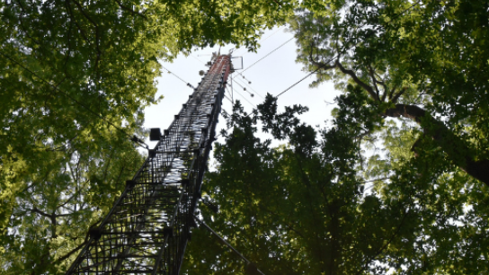 Picture of the Lanzhot station in a green forest 