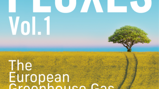 Picture of the cover page of Fluxes with a field and single tree on the horizon