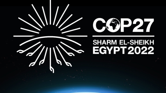 COP27