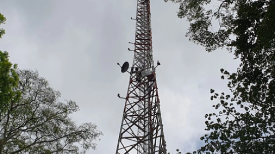 Measurement tower at the ecosystem station in Ghana
