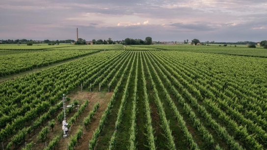 ICOS station in Lison, Italy. Copyright ICOS, photo by Pekka Pelkonen