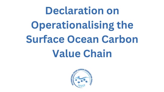 Declaration on operationalising the surface ocean carbon value chain