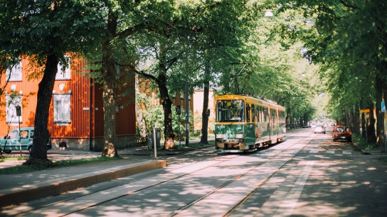 For cities to reliably calculate their own carbon sinks in urban vegetation and soil, they need more information on the carbon cycle in urban areas. Picture by Julia Kivelä, City of Helsinki. 
