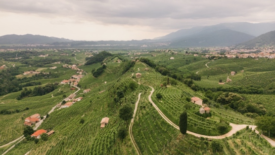 drone picture of a vineyard in Italy 