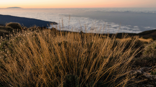 Labelled station banner