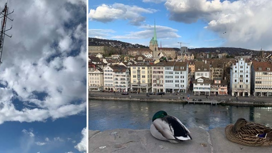 Zurich small compilation