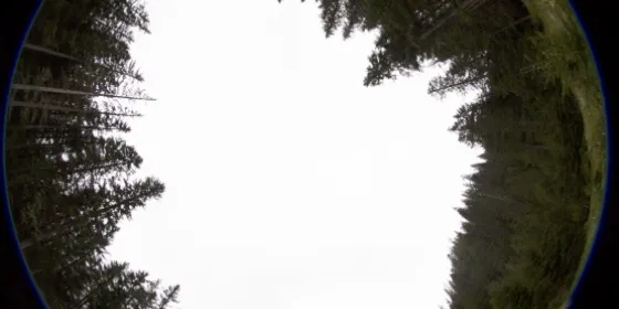 Davos station, hemispherical photo