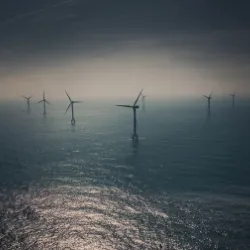 ICOS OTC Newsletter is out