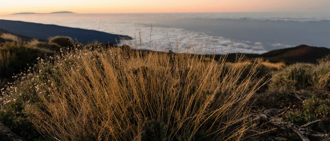 Labelled station banner