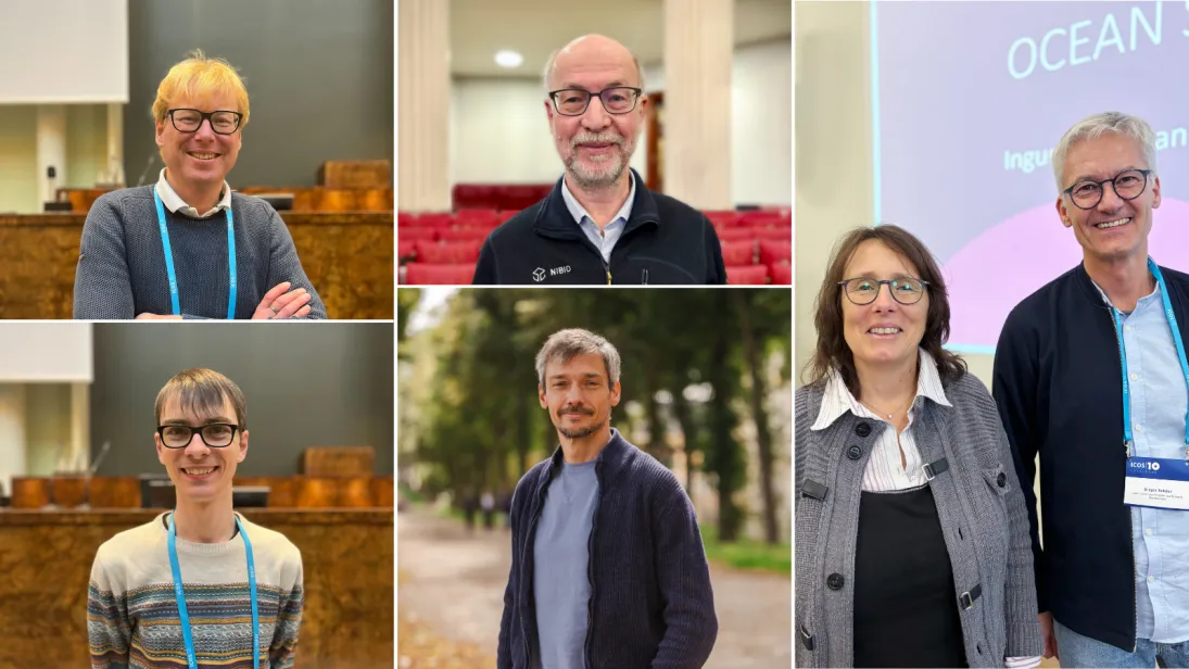 Image of the ICOS MSA chairs in 2026