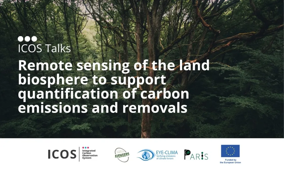 AVEYPA webinar banner