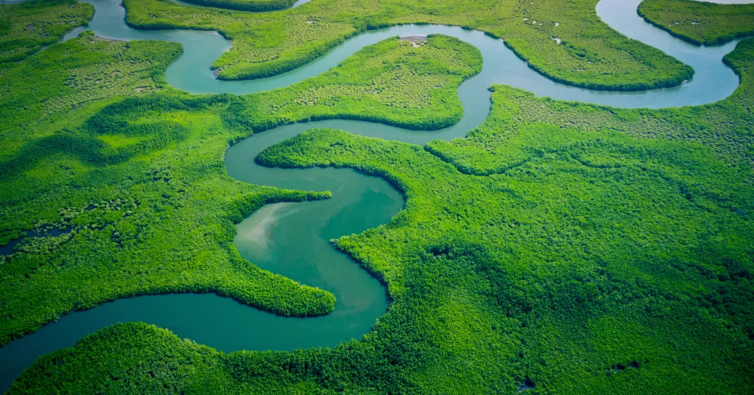 An aerial view of a lush tropical mangrove landscape, with winding turquoise river channels snaking through dense, vibrant green vegetation. The meandering waterways create sweeping curves and S-shapes across the expansive canopy, with glimpses of sandy banks and open water visible in the distance.
