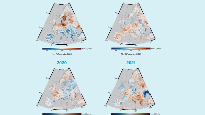 Annual mean net ecosystems