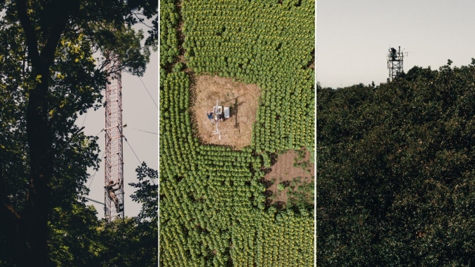 three pictures showing a leafy green forest, field of sunflowers and a measurement tower above the trees