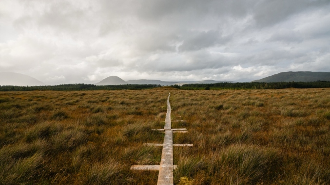 wooden pathway going across a wetland area with light grey clouds on the background